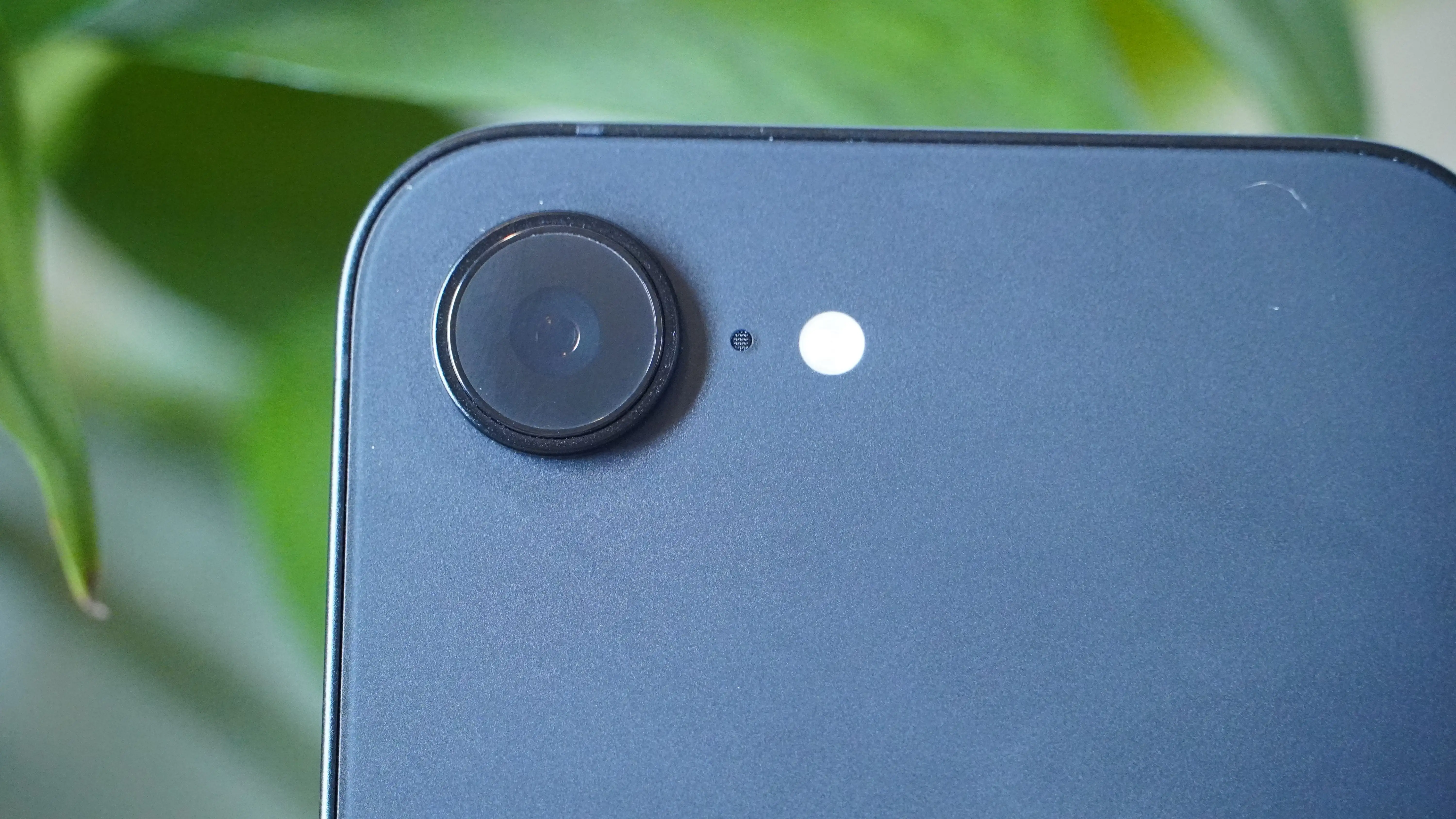 东契奇迎战,旧主,雷迪克态度,万博体育平台,体育博彩,体育投注,万博官网,体育赛事投注,万博体育官网