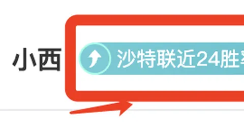 英超赛事分析：曼联对利兹联胜负预测