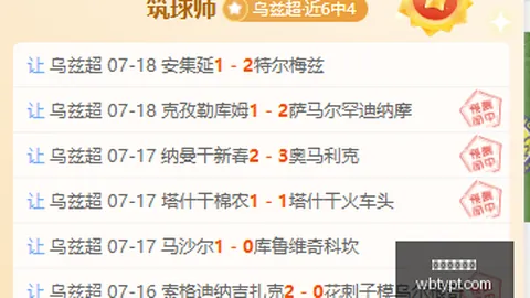 纽卡锁定赫伊别尔，维拉帕利尼亚谈判进展：谁是今夏转会大赢家